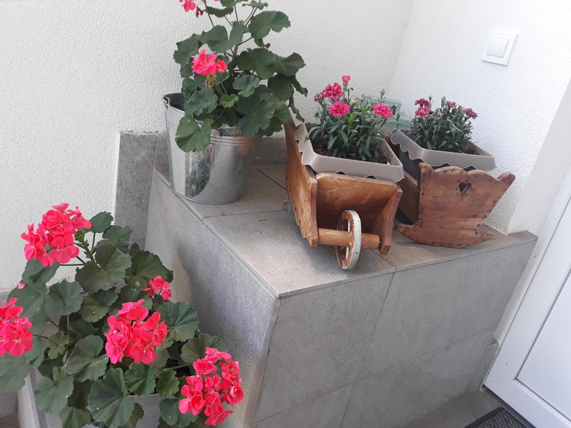 Apartment Zorec Maribor Dış mekan fotoğraf